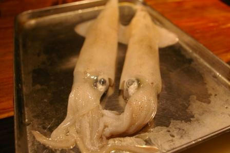 ika.JPG