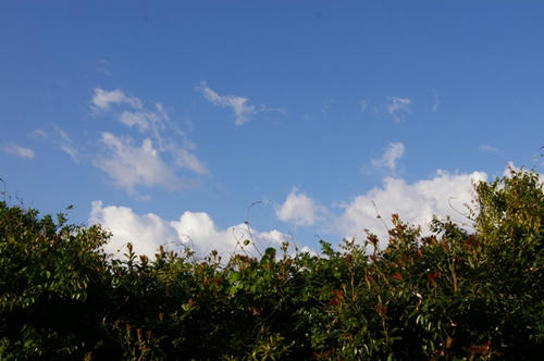 verano.JPG