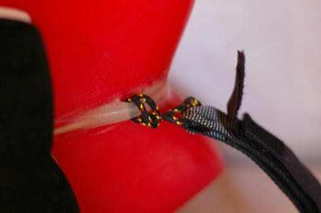 tail.JPG