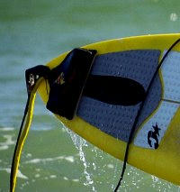 sharkshield011104.jpg