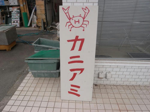 IMGP5803.JPG