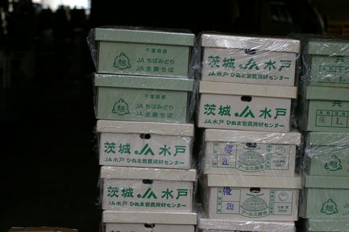 chibaraki.jpg