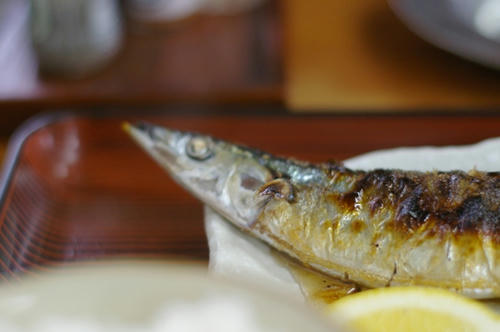 sanma.jpg