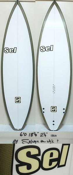 081030Selstandard60CVR.jpg
