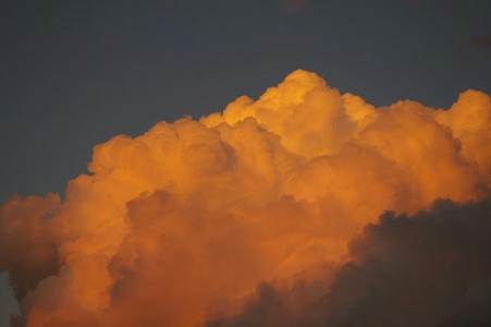 kumo3.JPG