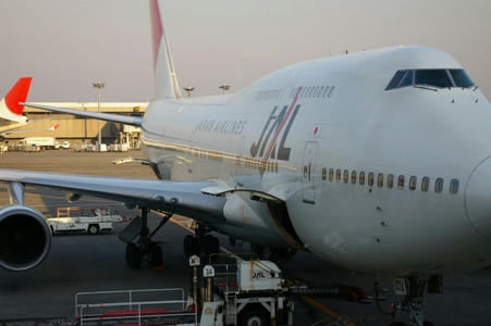 JAL1.JPG