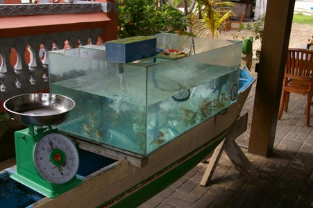 nusadua5.JPG