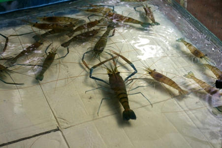 nusadua6.JPG
