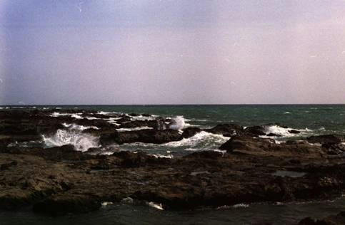 sotobou.jpg
