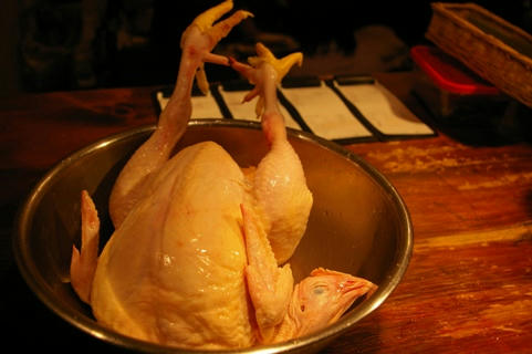 gallina.JPG