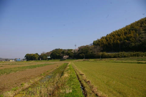 chiba.JPG