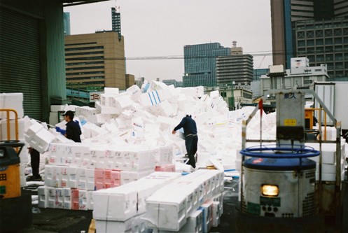 tsukiji10.jpg