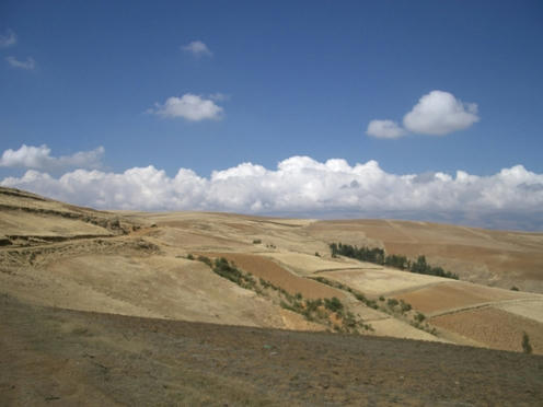 pampa2.JPG