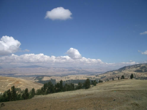 pampa4.JPG