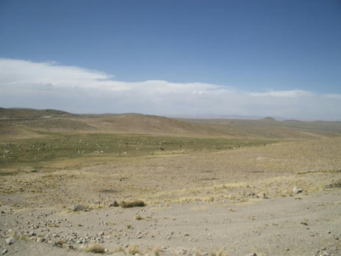 chivay3.JPG