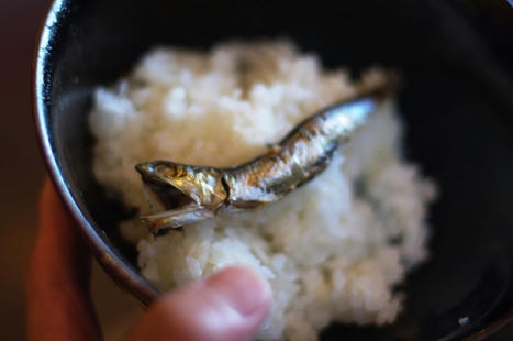 mezashi.JPG