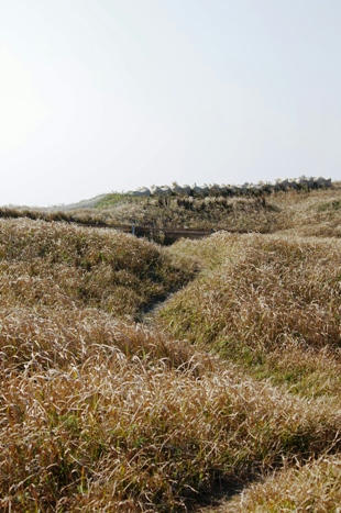 camino.JPG