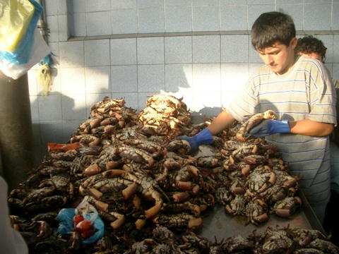 dario25.JPG