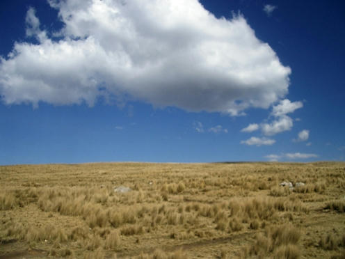 pampa.jpg