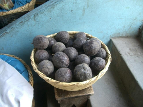 palta.jpg