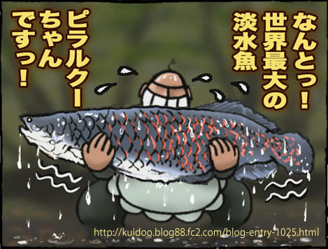 paiche.jpg