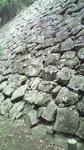 b62c7d05.jpg