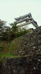 180f90f7.jpg