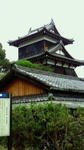 d824d463.jpg