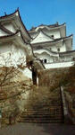 e0691938.jpg