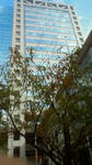 6d041025.jpg