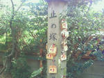 36f7f238.jpg