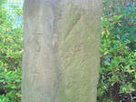 9344f466.jpg
