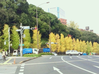 f1279756.jpg