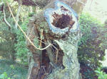 07d58254.jpg