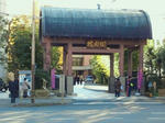f658295f.jpg