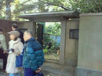 27017e8d.jpg