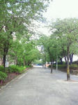 644212cd.jpeg