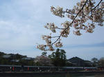 090405_2.jpg