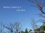 100104_1.jpg