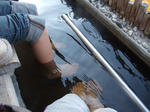 100104_2.jpg