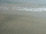 100222_3.jpg