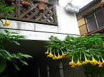 IMG_5170.jpg