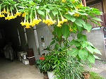 IMG_5171.jpg