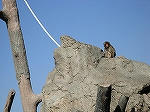 DSCN0716.jpg