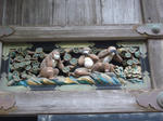 CIMG0023.JPG