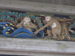 CIMG0041.JPG