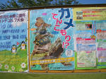 CIMG0008.JPG