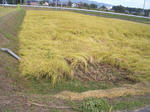 CIMG0022.JPG