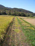 CIMG0078.JPG