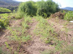 CIMG0059.JPG